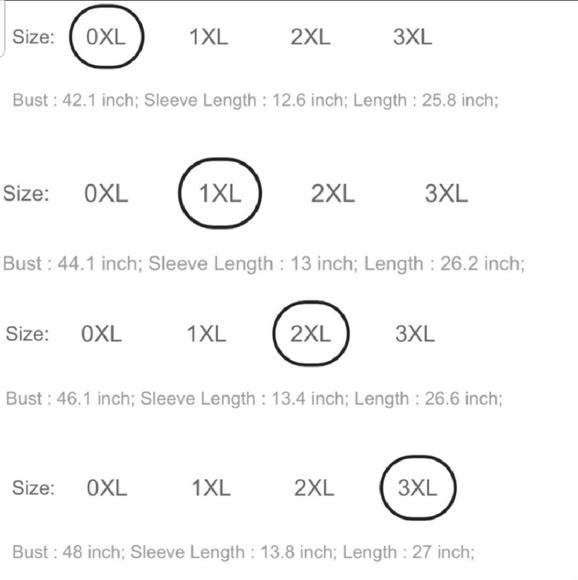 🔥LAST 1🔥Host Pick Plus Black Lace Shoulder Top - Picture 7 of 7